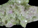 Sparkly Vesuvianite - Jeffrey Mine, Canada #64083-2